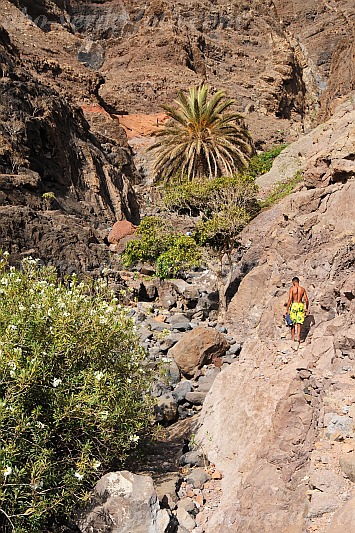 So Vicente : Santa Luzia da Terra : oasis : Landscape MountainCabo Verde Foto Gallery