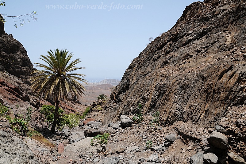 So Vicente : Santa Luzia da Terra : oasis : Landscape MountainCabo Verde Foto Gallery