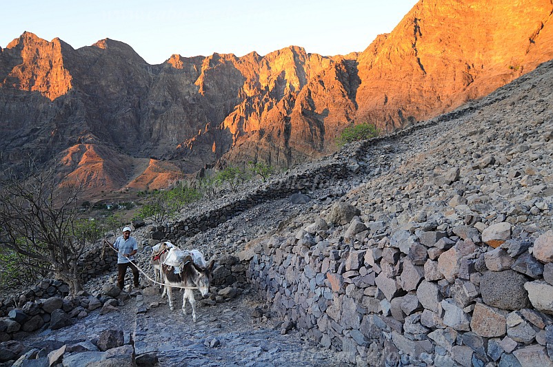 Insel: Santo Anto  Wanderweg: 309 Ort: Caetano Bordeira de Norte Motiv: Wanderweg Esel Motivgruppe: Landscape Mountain © Pitt Reitmaier www.Cabo-Verde-Foto.com