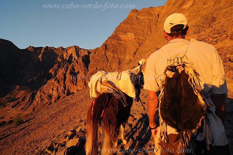 Santo Anto : Caetano Bordeira de Norte : percurso pedestre burro : Technology TransportCabo Verde Foto Gallery