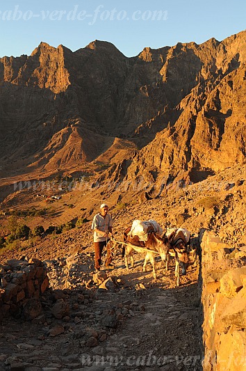 Santo Anto : Caetano Bordeira de Norte : hiking trail donkey : Landscape MountainCabo Verde Foto Gallery