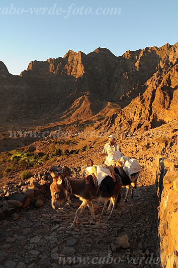 Santo Anto : Caetano Bordeira de Norte : hiking trail donkey : Landscape MountainCabo Verde Foto Gallery