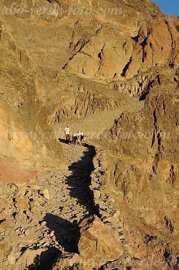 Santo Anto : Caetano Bordeira de Norte : hiking trail donkey : Landscape MountainCabo Verde Foto Gallery