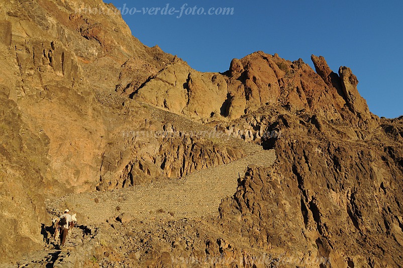 Insel: Santo Anto  Wanderweg: 309 Ort: Caetano Bordeira de Norte Motiv: Wanderweg Esel Motivgruppe: Landscape Mountain © Pitt Reitmaier www.Cabo-Verde-Foto.com
