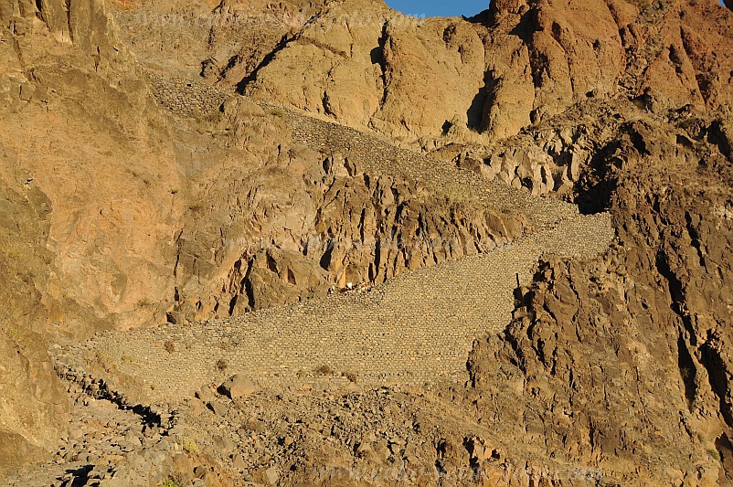 Insel: Santo Anto  Wanderweg: 309 Ort: Caetano Bordeira de Norte Motiv: Wanderweg Esel Motivgruppe: Landscape Mountain © Pitt Reitmaier www.Cabo-Verde-Foto.com