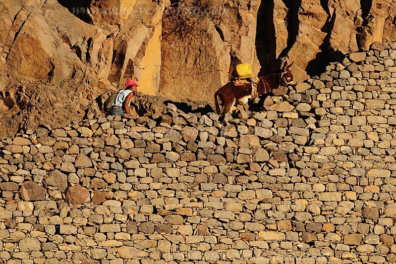 Santo Anto : Caetano Bordeira de Norte : percurso pedestre burro : Landscape MountainCabo Verde Foto Gallery