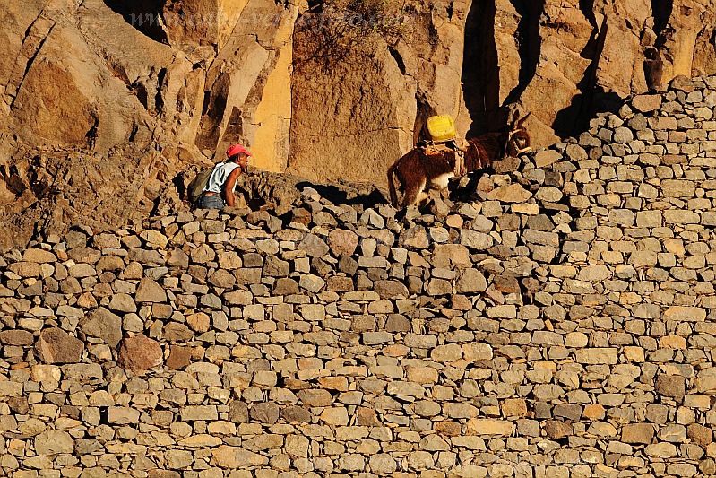 Santo Anto : Caetano Bordeira de Norte : hiking trail donkey : Landscape MountainCabo Verde Foto Gallery