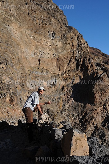 Santo Ant�o : Caetano Bordeira de Norte : hiking trail donkey : Technology TransportCabo Verde Foto Gallery