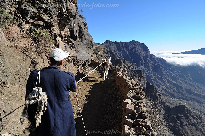 Insel: Santo Ant�o  Wanderweg: 309 Ort: Caetano Bordeira de Norte Motiv: Wanderweg Esel Motivgruppe: Technology Transport &copy; Pitt Reitmaier www.Cabo-Verde-Foto.com