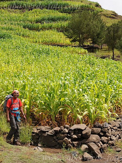 Insel: Santo Anto  Wanderweg:  Ort: Lagoa - Linho de Corvo Motiv: Wanderweg Motivgruppe: People Recreation © Pitt Reitmaier www.Cabo-Verde-Foto.com