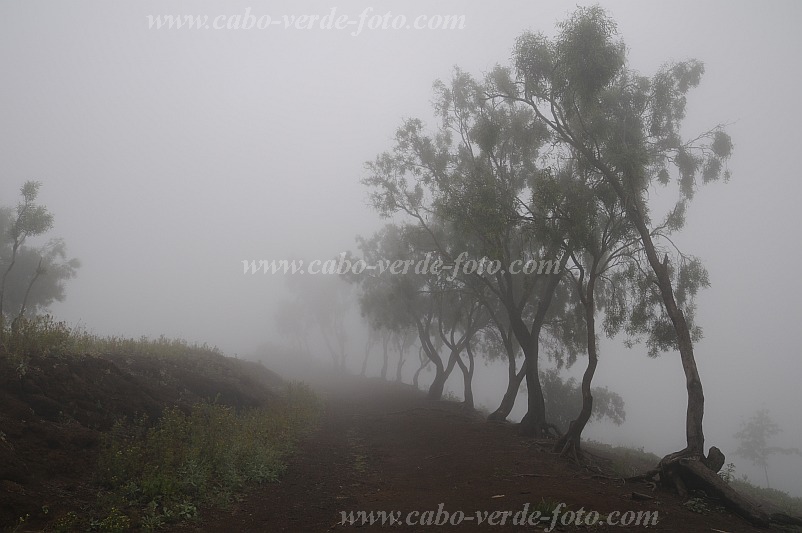 Insel: Santo Anto  Wanderweg:  Ort: Lagoa Motiv: Nebel Motivgruppe: Landscape © Pitt Reitmaier www.Cabo-Verde-Foto.com
