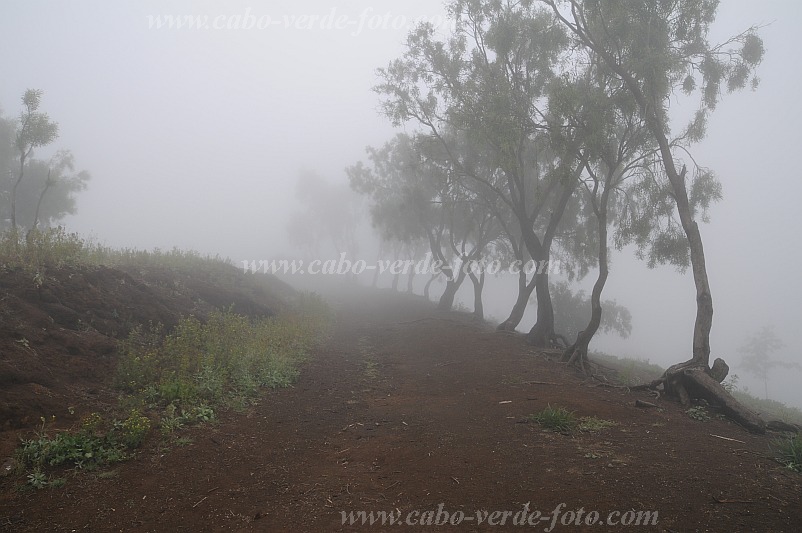 Santo Anto : Lagoa : nevoeiro : LandscapeCabo Verde Foto Gallery