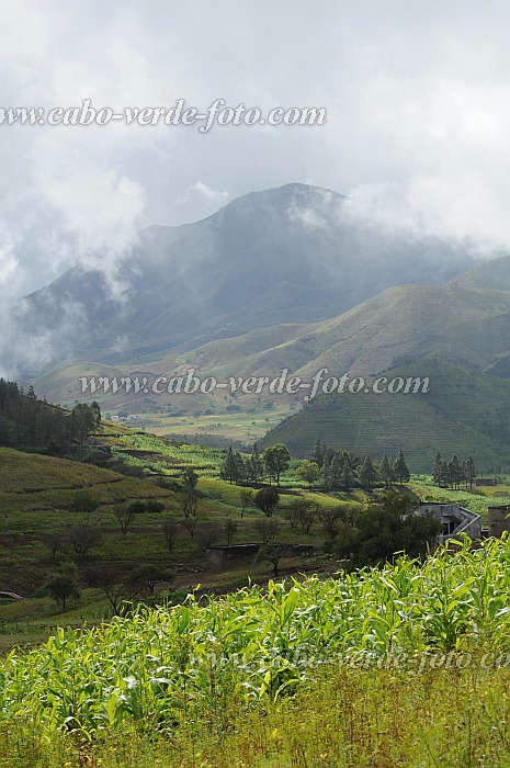 Santo Ant�o : Lagoa Compainha : after the rain : Landscape AgricultureCabo Verde Foto Gallery