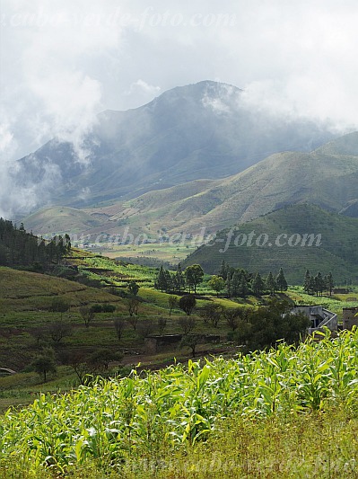 Santo Ant�o : Lagoa Compainha : after the rain : Landscape AgricultureCabo Verde Foto Gallery