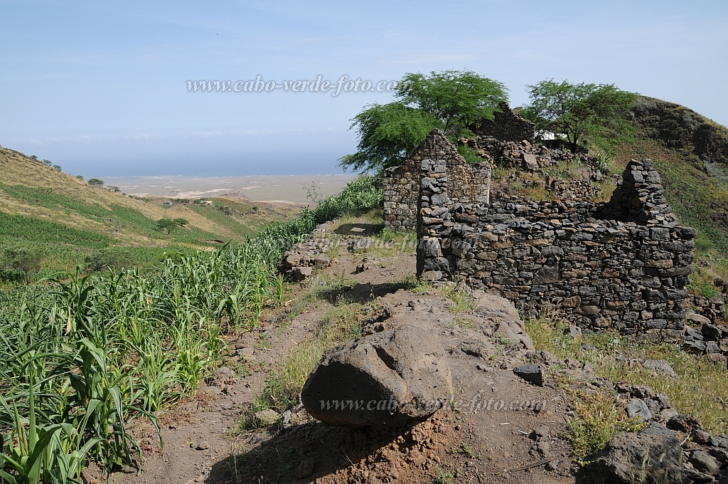 Santo Anto : Tabuleirinho da Tabuga : ruins and abandoned houses : Landscape AgricultureCabo Verde Foto Gallery