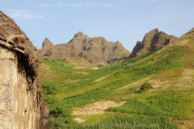 Santo Anto : Tabuleirinho da Tabuga : paisagem verde : Landscape AgricultureCabo Verde Foto Gallery