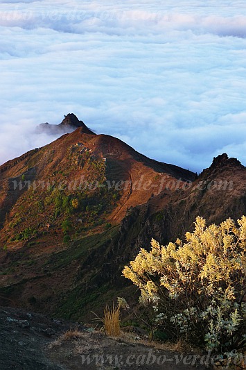 Insel: Santo Anto  Wanderweg: 103 Ort: Pico da Cruz - Lomb Corrotch Motiv: Blick auf Casas do Tope Motivgruppe: Landscape Mountain © Pitt Reitmaier www.Cabo-Verde-Foto.com