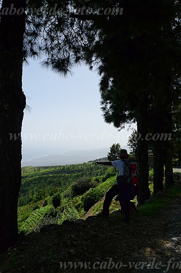 Santo Anto : Ribeirao Fundo : Planalto na estao pluviosa : Landscape MountainCabo Verde Foto Gallery