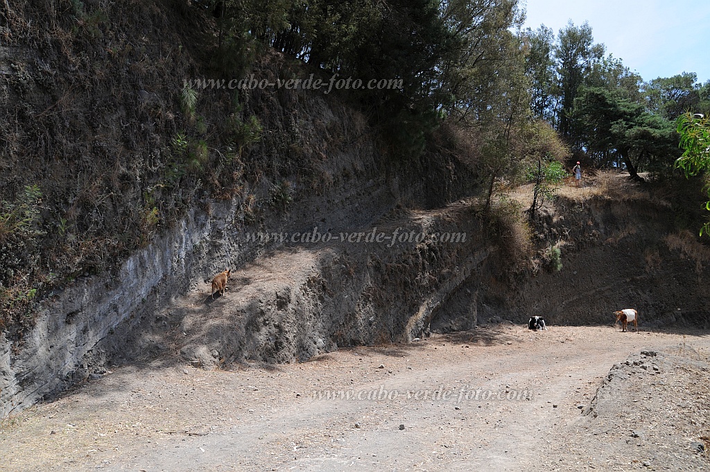 Santo Anto : Pico da Cruz Lombo Carrosco : ascent to ridge : Landscape MountainCabo Verde Foto Gallery