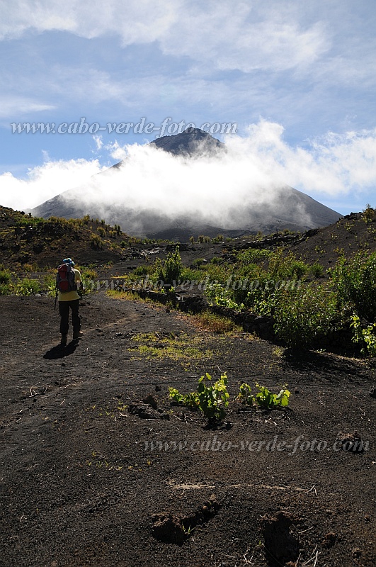 Fogo : Cha das Caldeiras Monte Verde : ilhu verde caminhada nas lavas : Landscape MountainCabo Verde Foto Gallery