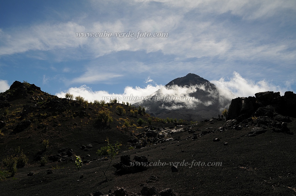 Fogo : Cha das Caldeiras Monte Verde : ilhu verde caminhada nas lavas : Landscape MountainCabo Verde Foto Gallery