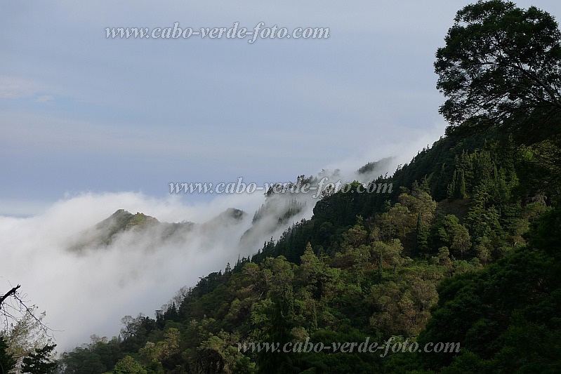 Insel: Santo Anto  Wanderweg: 105a Ort: Ribeira de Croque Pico da Cruz Motiv: Passatwolken Motivgruppe: Landscape Forest © Pitt Reitmaier www.Cabo-Verde-Foto.com