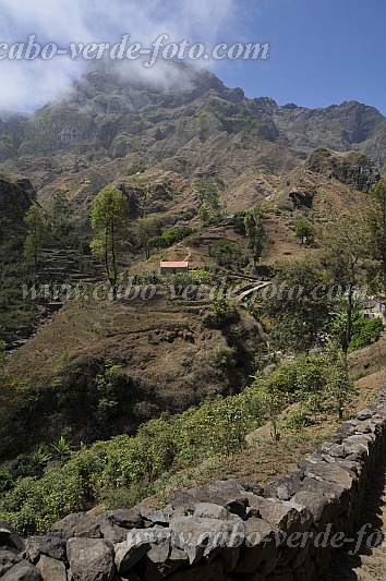 Santo Anto : Cruz de Santa Isabel : Mountain agriculture : Landscape MountainCabo Verde Foto Gallery