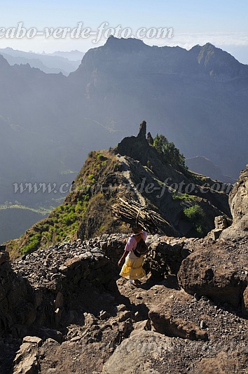 Insel: Santo Anto  Wanderweg: 103a Ort: Santa Isabel Fio de Faca Motiv: Holz sammeln Motivgruppe: Landscape Mountain © Pitt Reitmaier www.Cabo-Verde-Foto.com
