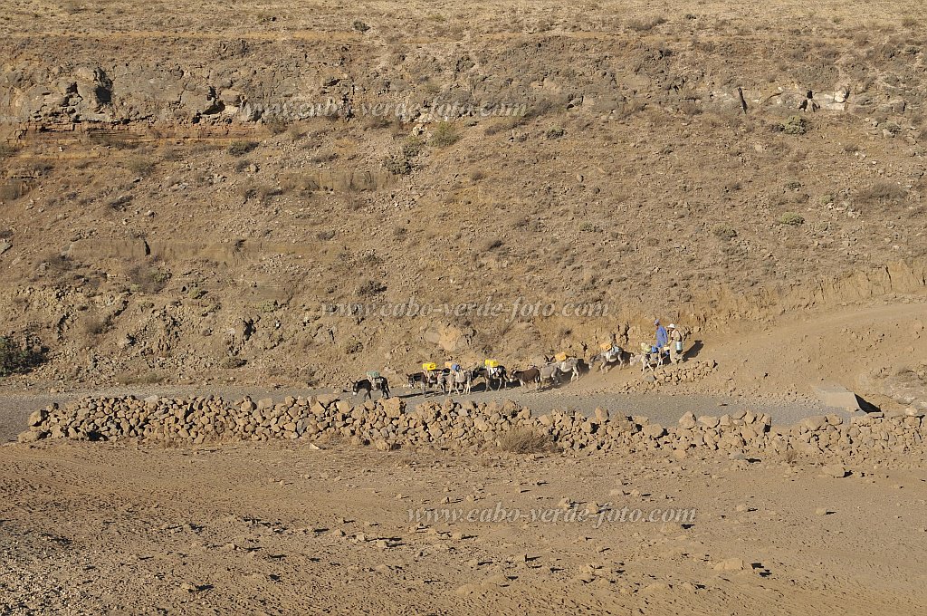 Santo Anto : Norte Cha de Feijoal : herdsmen donkeys at the waterpoint : Landscape DesertCabo Verde Foto Gallery