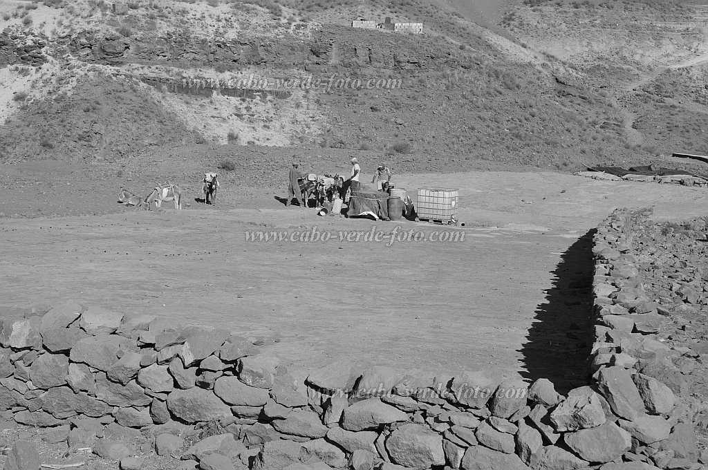 Santo Anto : Norte Cha de Feijoal : herdsmen donkeys at the waterpoint : People WorkCabo Verde Foto Gallery