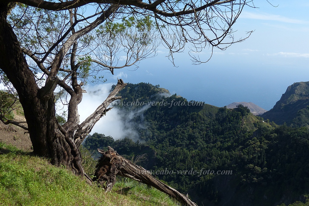 Santo Anto : Lombo de Carrosco Gudo sem Voz : view on Gudo sem Voz : Landscape MountainCabo Verde Foto Gallery