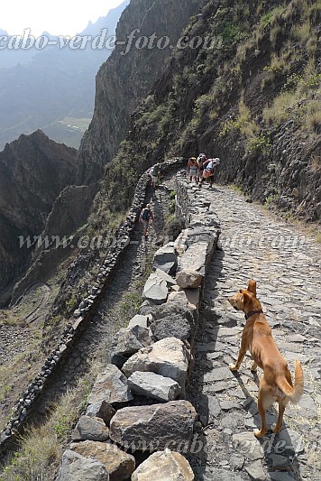 Santo Anto : Bordeira de Norte : subida de serpentinas : Landscape MountainCabo Verde Foto Gallery