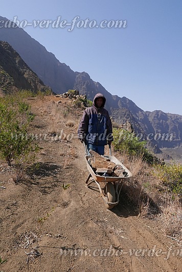 Insel: Fogo  Wanderweg:  Ort: Ch das Caldeira Monte Amarelo Motiv: Arbeiter mit Schubkarre Motivgruppe: People Work © Pitt Reitmaier www.Cabo-Verde-Foto.com
