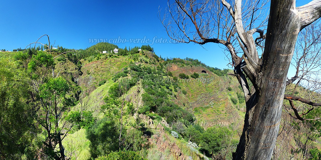 Insel: Santo Anto  Wanderweg: 106a Ort: Pico da Cruz Lombo Vermelho Motiv: Grne Felder unter den Wldern Haus Motivgruppe: Landscape Mountain © Pitt Reitmaier www.Cabo-Verde-Foto.com