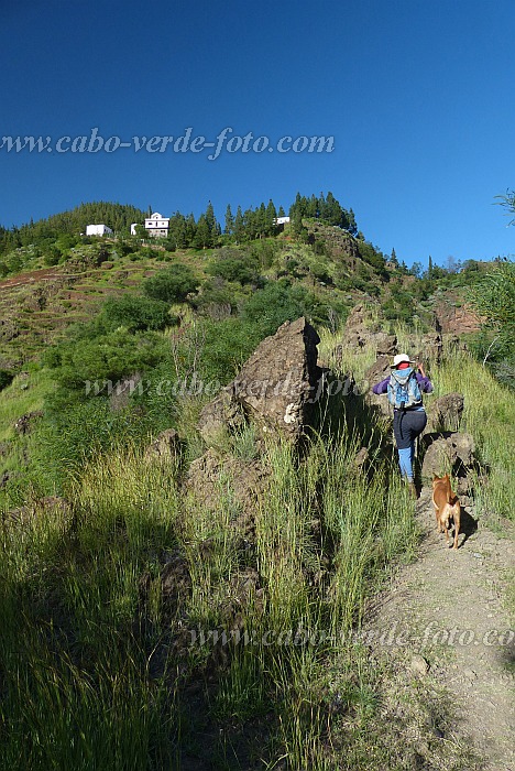 Insel: Santo Anto  Wanderweg:  Ort: Pico da Cruz Lombo Vermelho Motiv: Grne Felder unter den Wldern Haus Motivgruppe: Landscape Mountain © Pitt Reitmaier www.Cabo-Verde-Foto.com