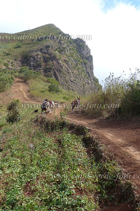 Santiago : Achada Lagoa : Hiking trail : Landscape MountainCabo Verde Foto Gallery