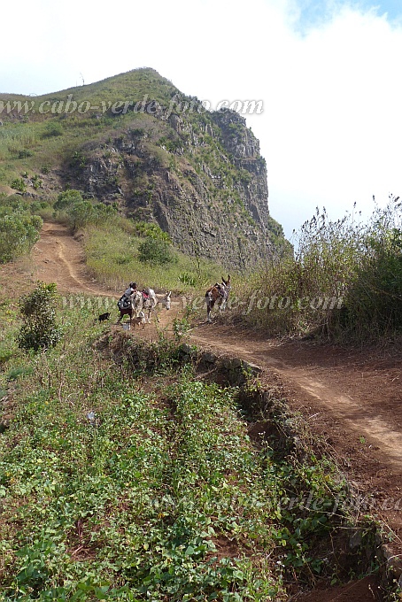 Insel: Santiago  Wanderweg: 509 Ort: Achada Lagoa Motiv: Wanderweg Motivgruppe: Landscape Mountain © Pitt Reitmaier www.Cabo-Verde-Foto.com