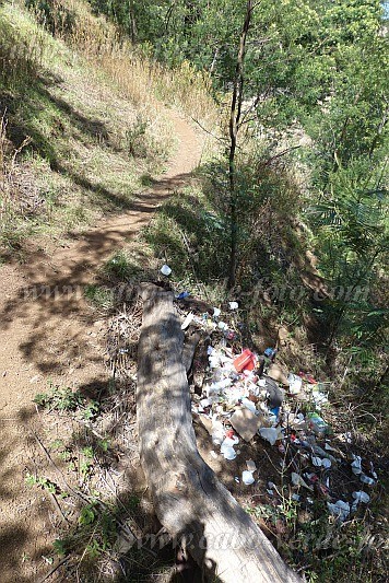 Santo Anto : Espongeiro Escovadinha : litter in forest : TechnologyCabo Verde Foto Gallery