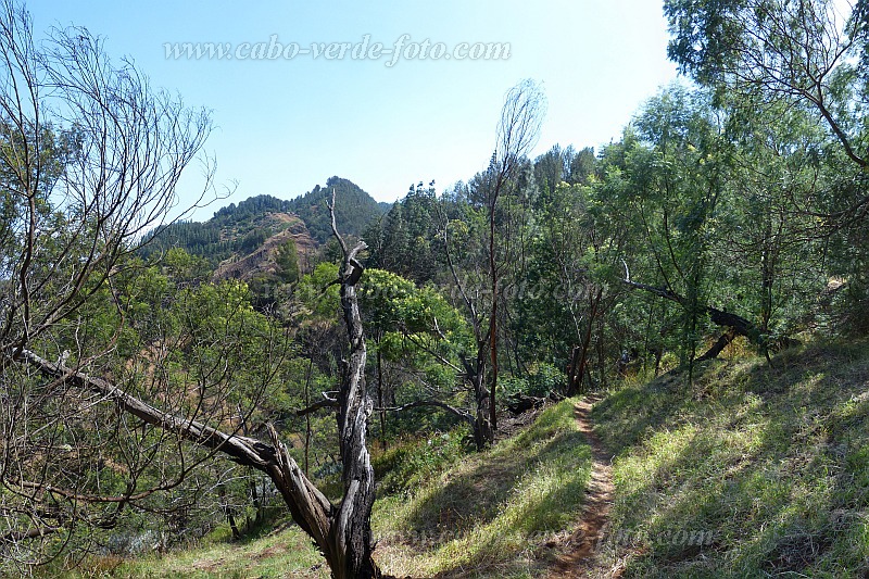 Insel: Santo Anto  Wanderweg: 207a Ort: Espongeiro Escovadinha Motiv: Blick vom Weg auf den Grat von Escovadinha Motivgruppe: Landscape Mountain © Pitt Reitmaier www.Cabo-Verde-Foto.com