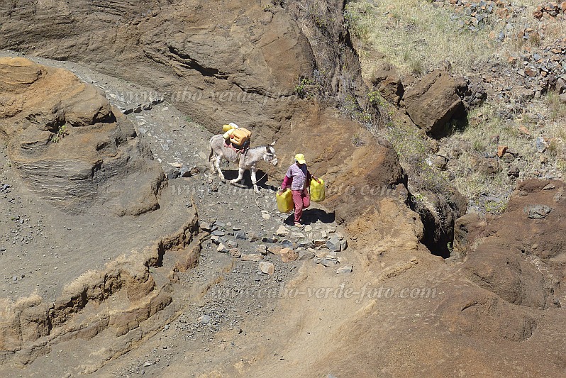 Santo Anto : Ribeira de Poi : hiking trail with donkeys on the way to the fountain : Landscape MountainCabo Verde Foto Gallery