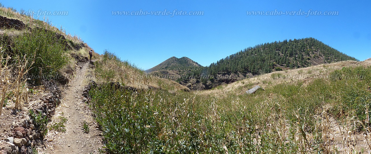 Insel: Santo Anto  Wanderweg: 207a Ort: Agua das Caldeiras Ribeira de Poi Motiv: Wanderweg durch Hangwiesen und Felder Motivgruppe: Landscape Mountain © Pitt Reitmaier www.Cabo-Verde-Foto.com