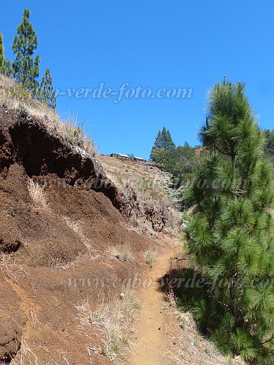 Santo Anto : Escovadinha : view at Escovadinha : Landscape MountainCabo Verde Foto Gallery