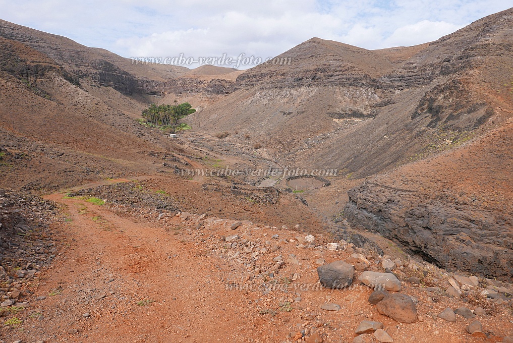 So Nicolau : Castilhano : dustroad : Landscape DesertCabo Verde Foto Gallery