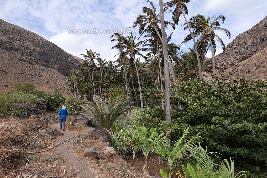 São Nicolau : Castilhano : mountain oasis : Landscape DesertCabo Verde Foto Gallery