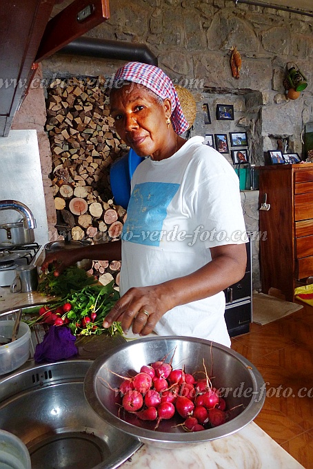 Santo Anto : Pico da Cruz : radish drip-irrigation : Technology AgricultureCabo Verde Foto Gallery