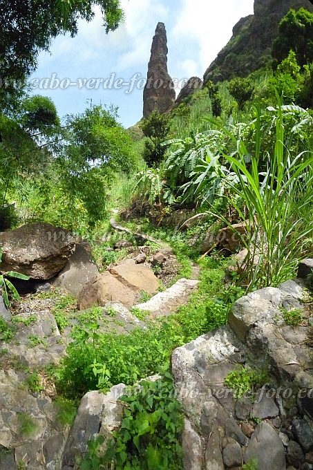 Santo Anto : Ribeira de Lombo de Pico : rocha agulha : Landscape MountainCabo Verde Foto Gallery