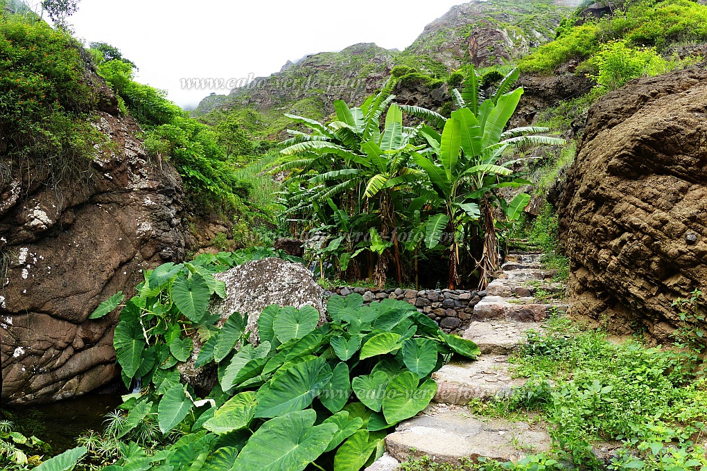 Santo Anto : Ribeira de Lombo de Pico : hiking trail : Landscape MountainCabo Verde Foto Gallery