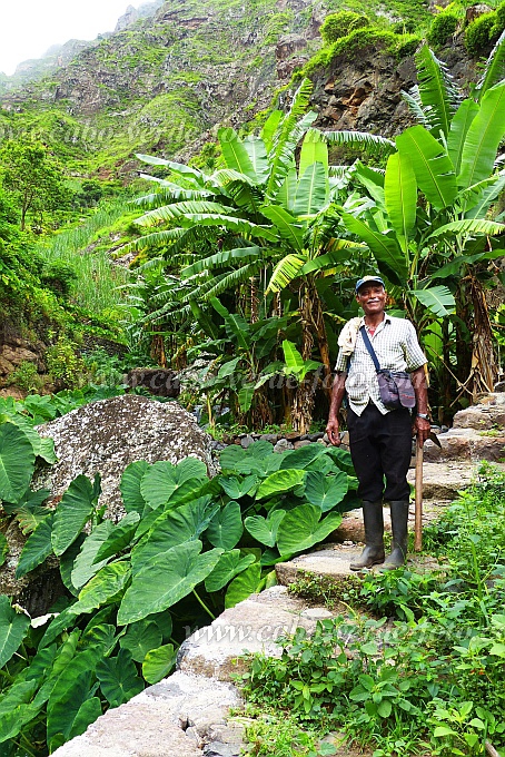 Santo Anto : Ribeira de Lombo de Pico : peasant : People WorkCabo Verde Foto Gallery