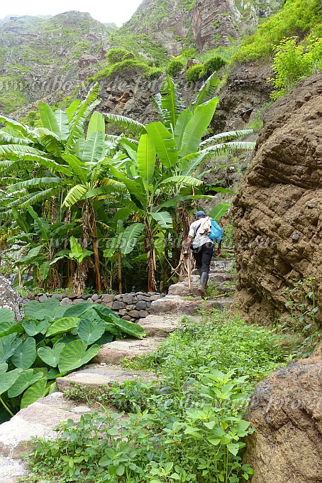 Insel: Santo Anto  Wanderweg: 203 Ort: Ribeira de Lombo de Pico Motiv: Bauer Motivgruppe: People Work © Pitt Reitmaier www.Cabo-Verde-Foto.com