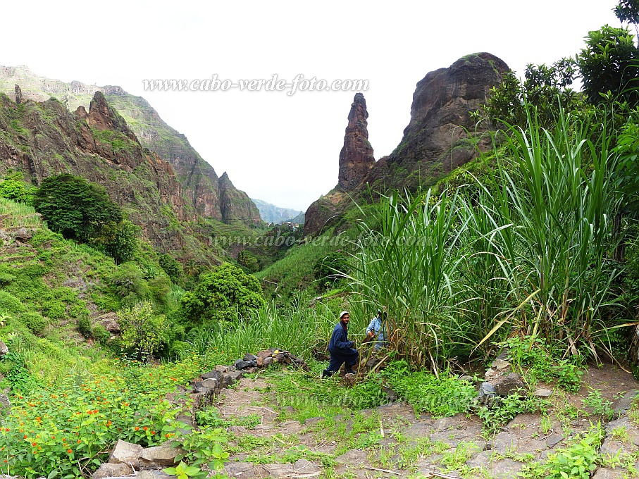 Santo Anto : Ribeira de Lombo de Pico : hiking trail : Landscape AgricultureCabo Verde Foto Gallery